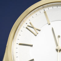 Hugo Boss Watch Classic Gold Plate White HB1513020