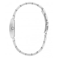 Ladies Brilliant Silver Tone Watch GW0611L1