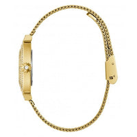 Ladies Dream Stainless Steel Gold Watch GW0550L2